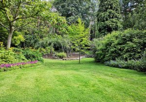 Optimiser l'expérience du jardin à La Motte-Fouquet